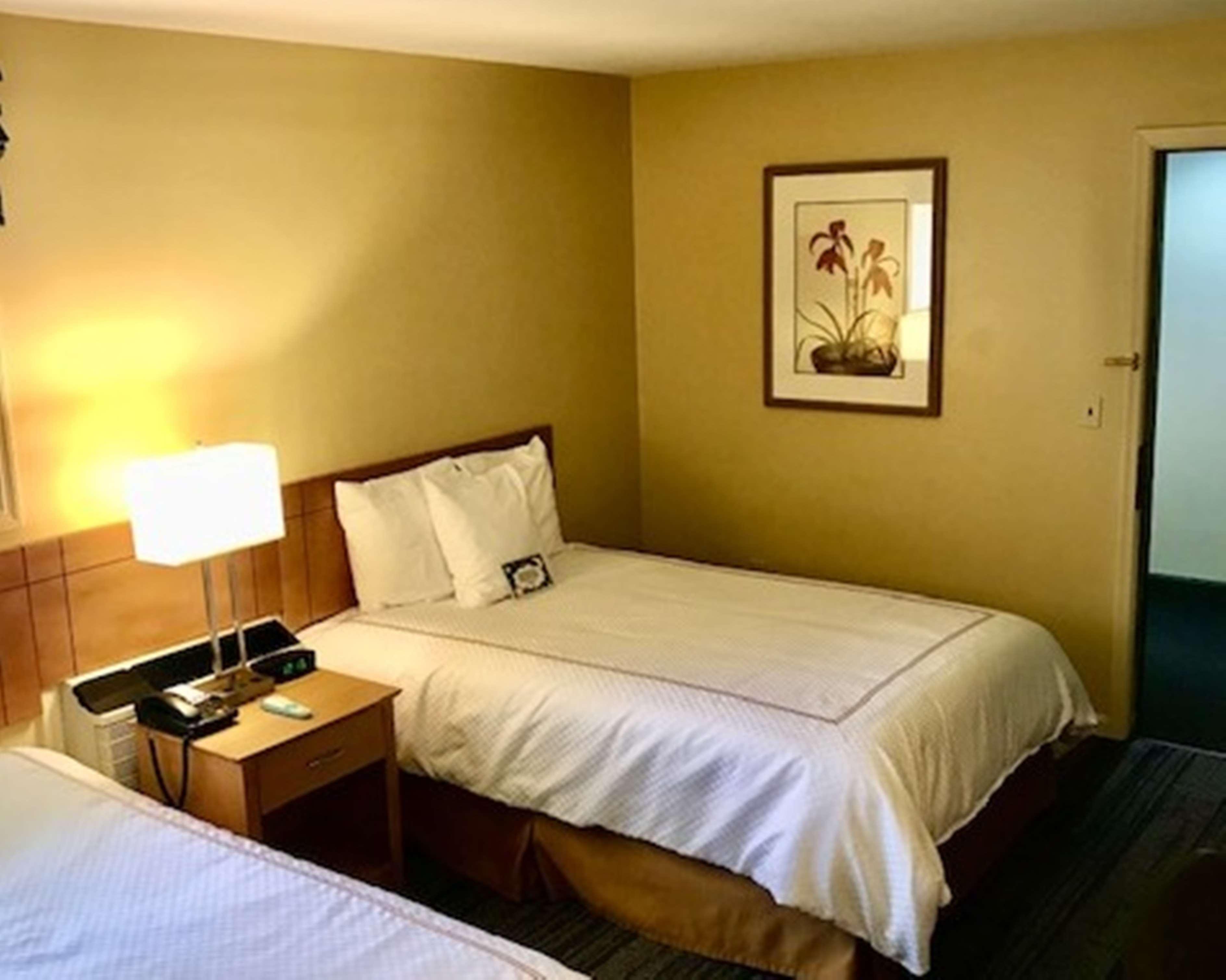 Best Western Inn & Suites Rutland-Killington Экстерьер фото